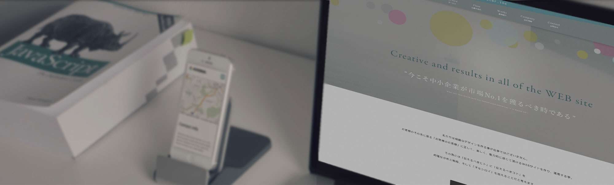 nanocolor.inc